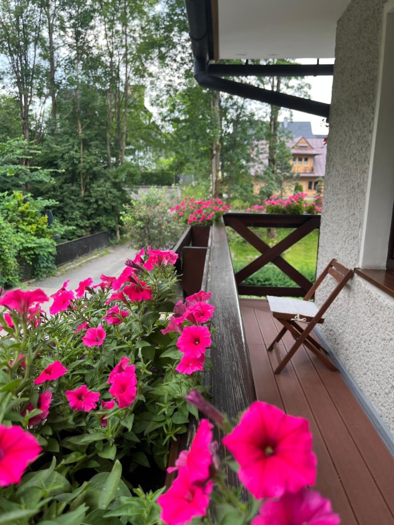 Marina Zakopane Bed & Breakfast Room photo